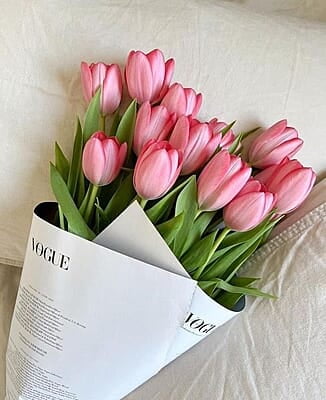 Pink tulips