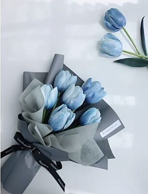 Blue tulips