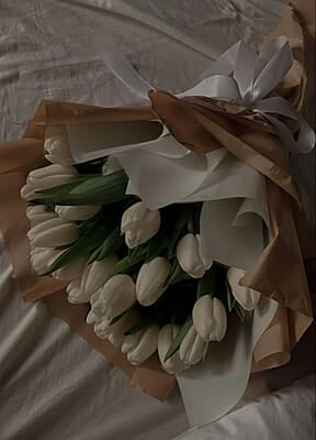 White tulips