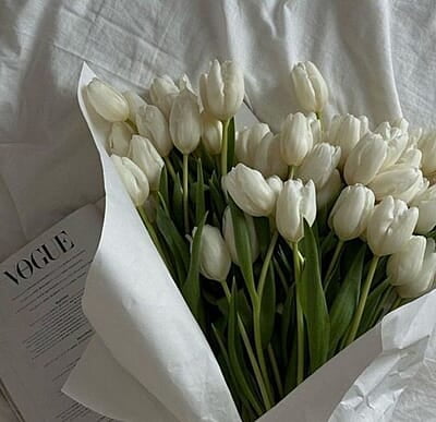 White tulips